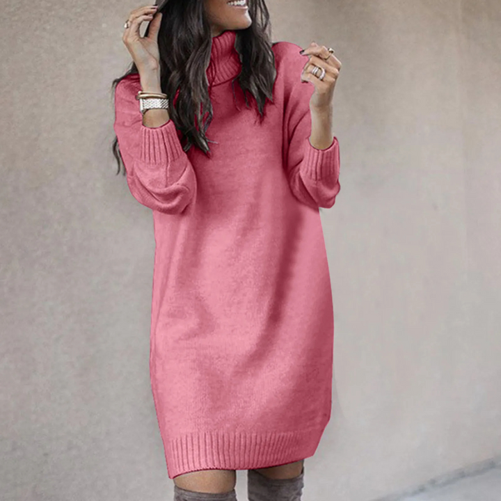 Women's Turtleneck Knit Jumper Dress Long Sleeve