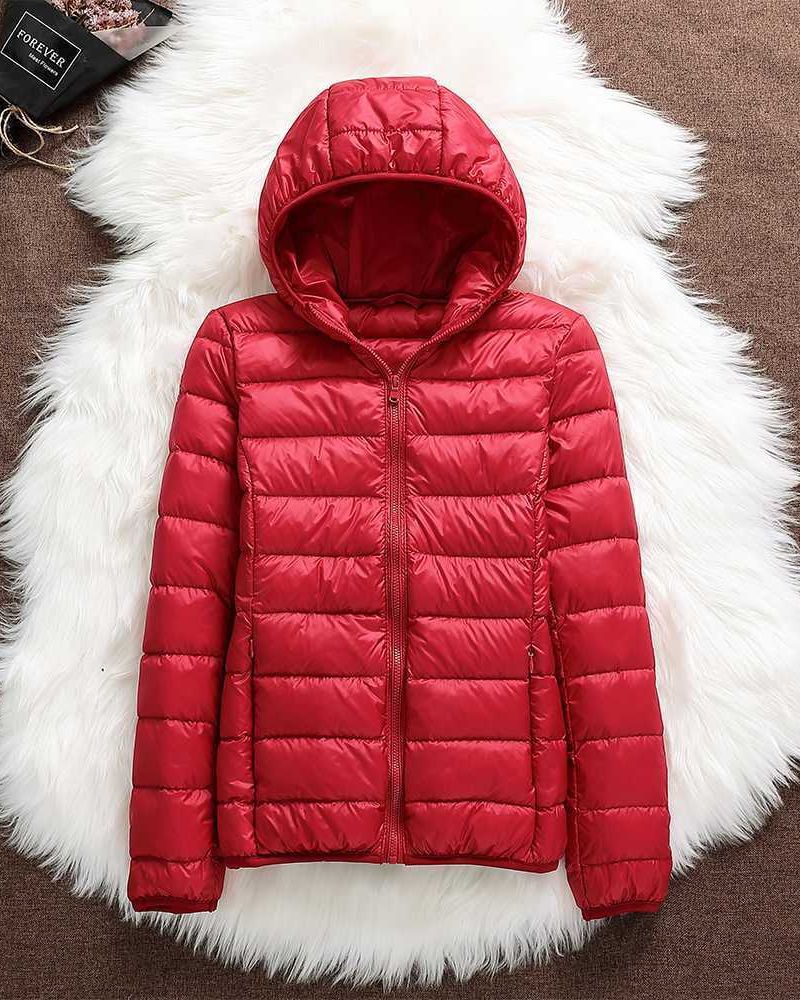 North - Waterproof Jacket