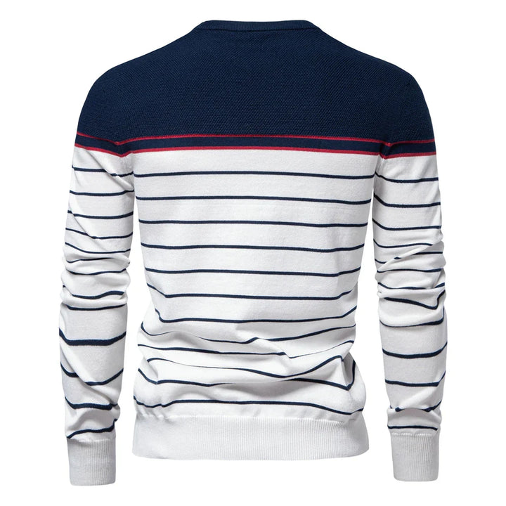 Men's striped crew neck jumper in navy and white – Ashdown – back view