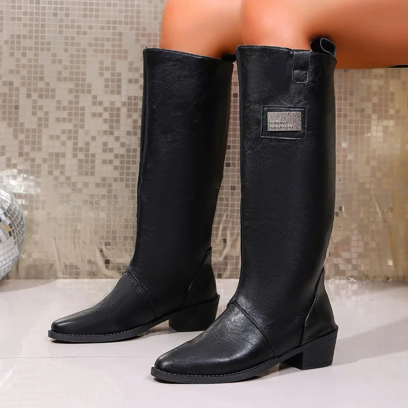 Women's Pointed Toe Tall Boots – Vivienne