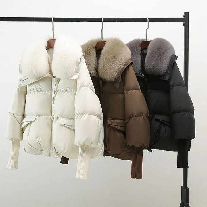 Cheltenham women's puffer jacket in Ivory, Mocha and Black – colour range